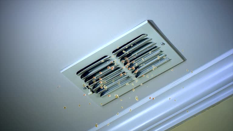 Best HVAC Air Duct Cleaning  in Coral Gables, FL